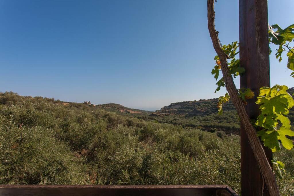 Villa Manolis Chania  Exteriör bild